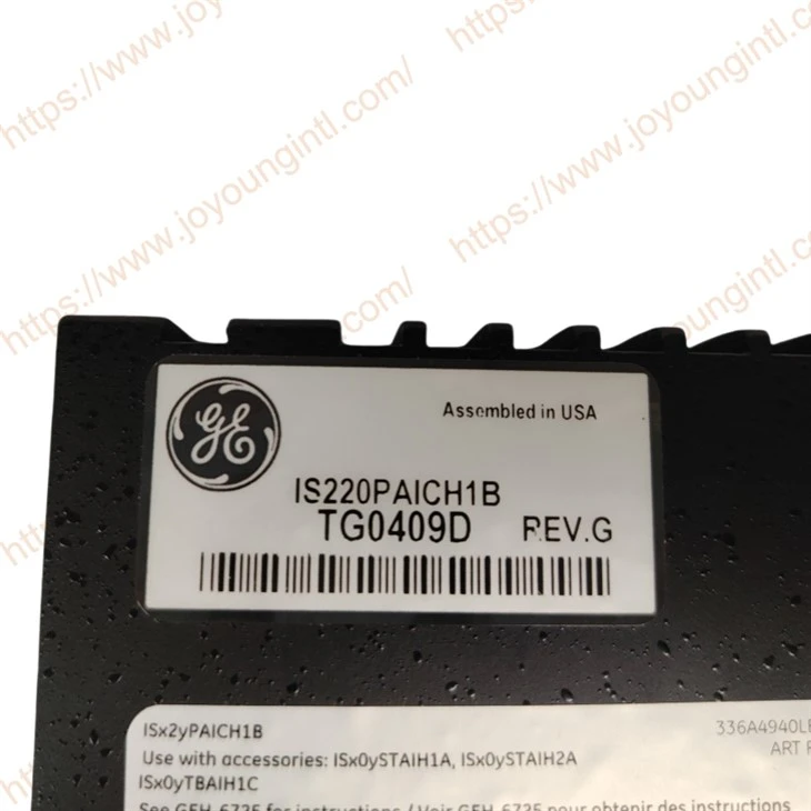 IS220paich1b Rev.G Mòdul d'E/S analògic